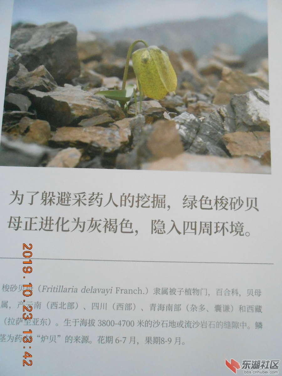 DSCN7000.JPG