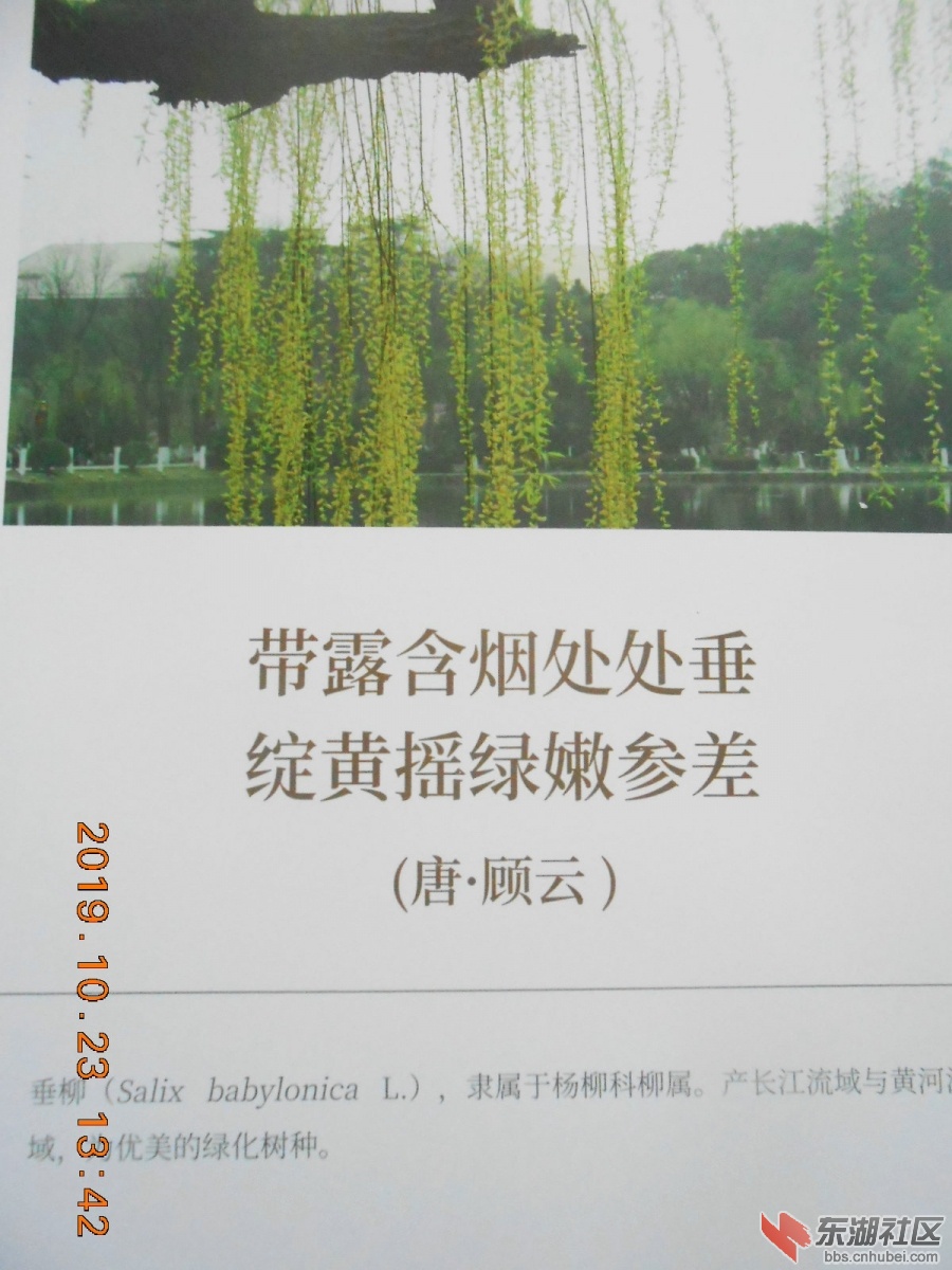 DSCN7001.JPG