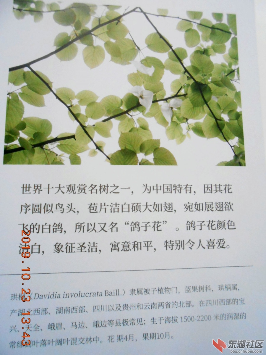 DSCN7003.JPG