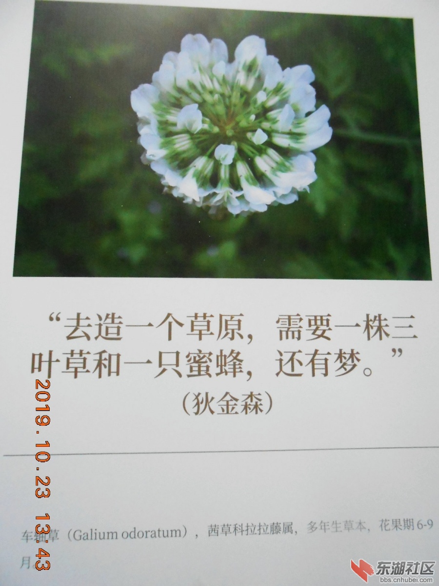 DSCN7004.JPG