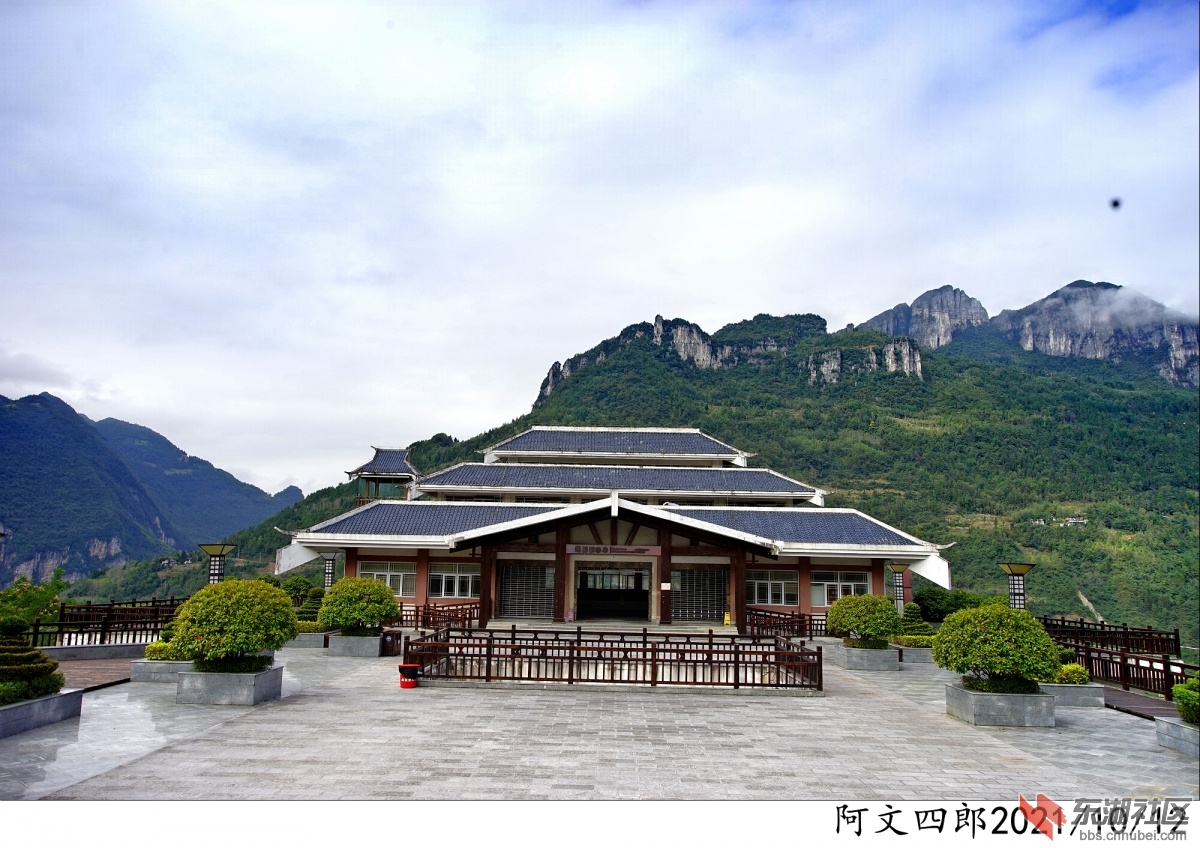 DSC00001.jpg