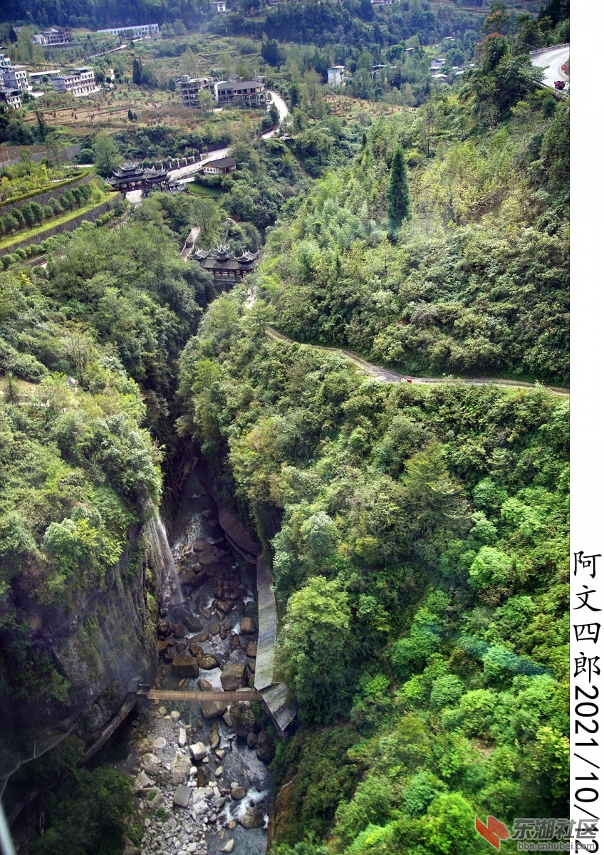 DSC00011.jpg