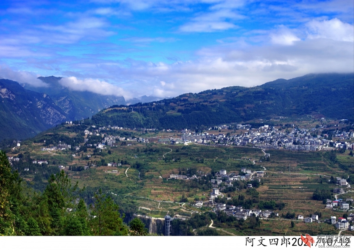 DSC00015.jpg