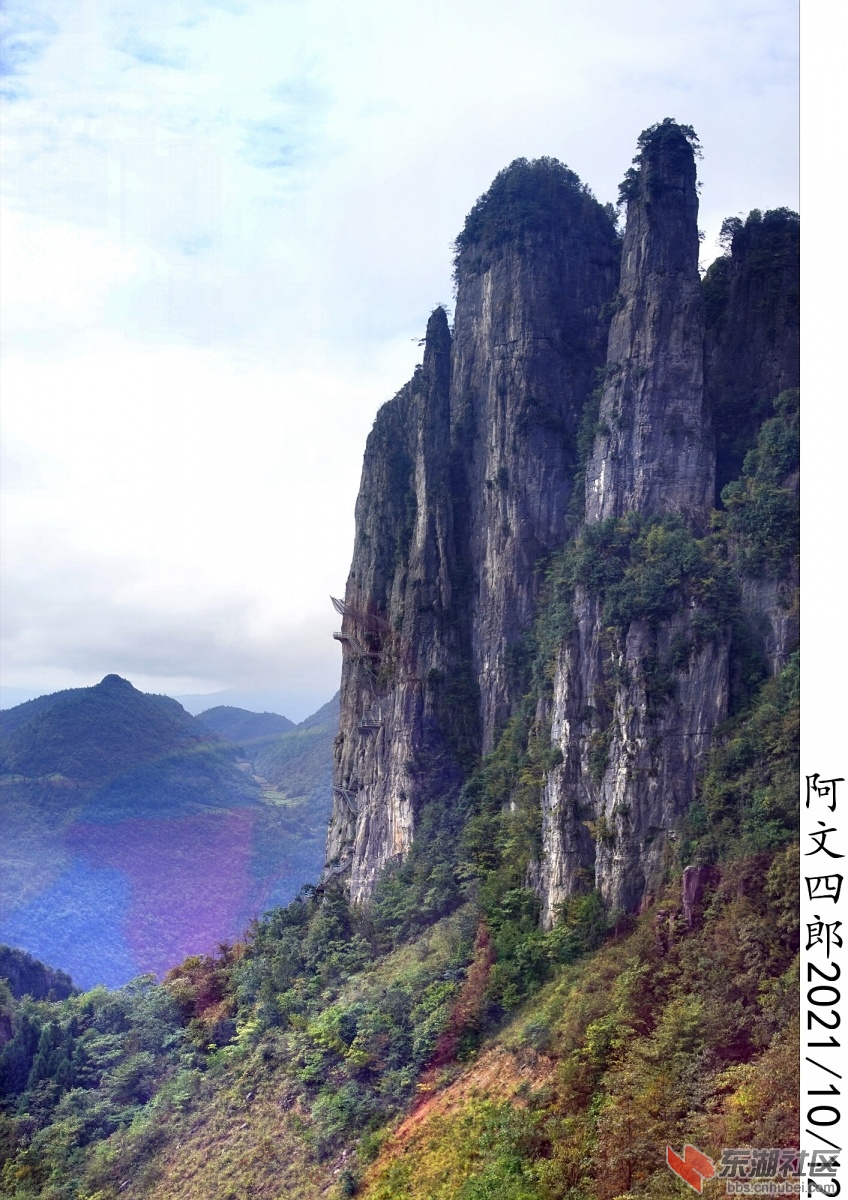 DSC00028.jpg