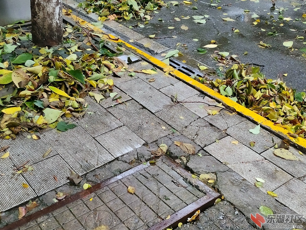 IMG_20211107_083120_副本.jpg