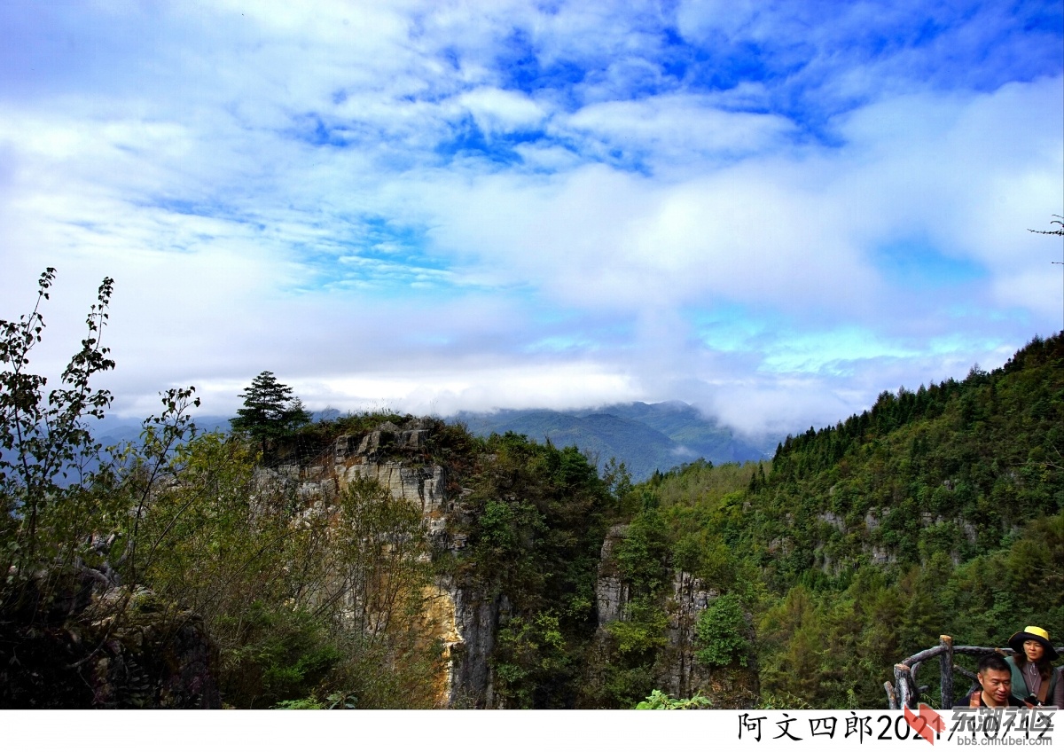 DSC00056.jpg