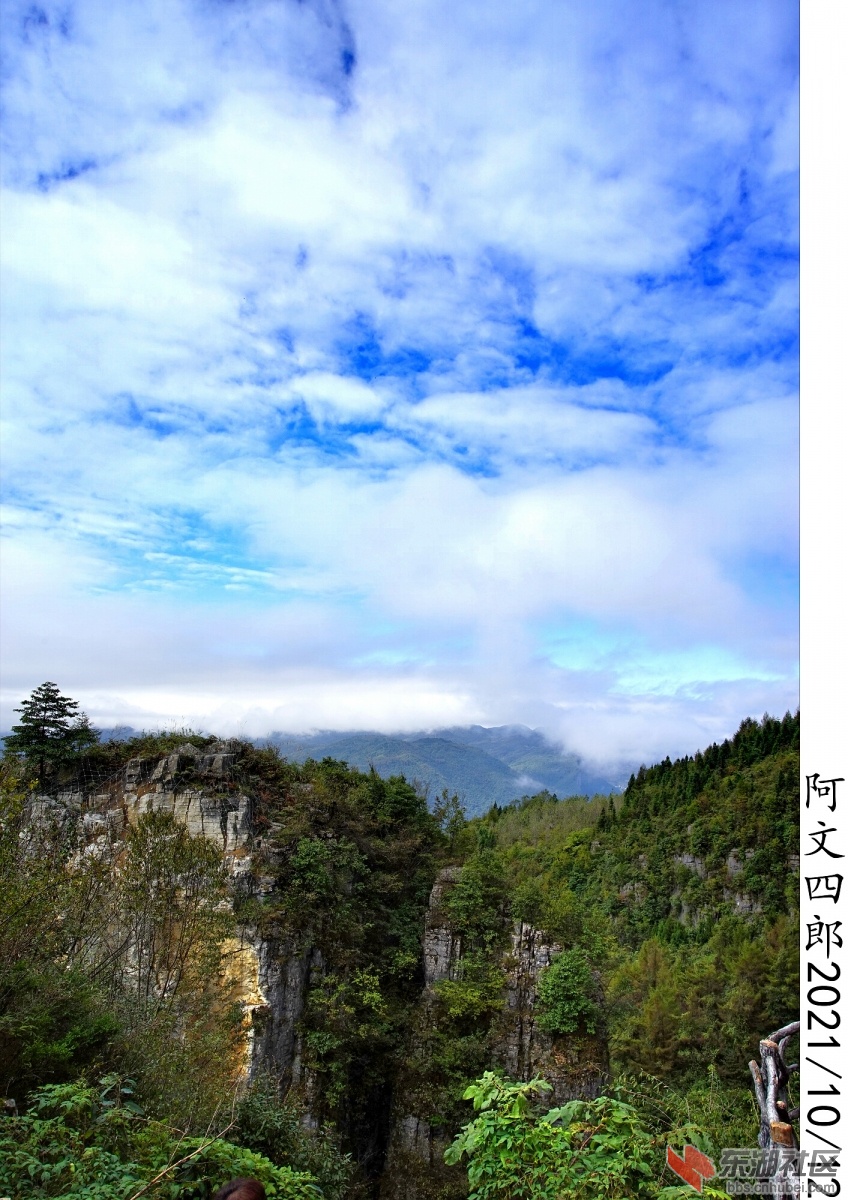 DSC00057.jpg