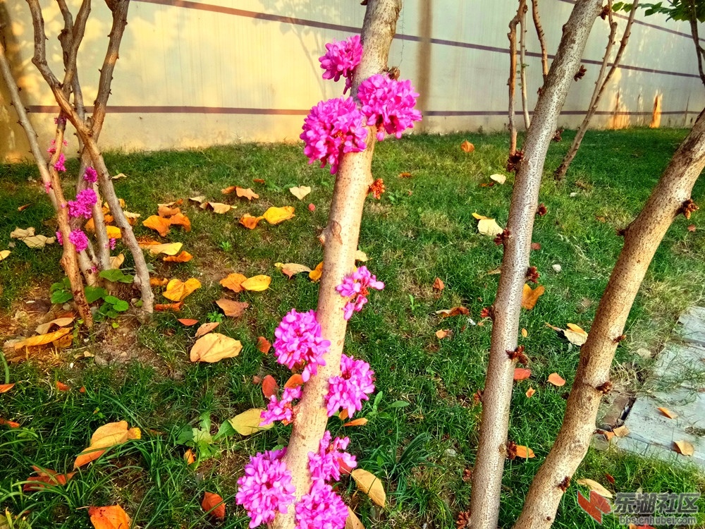 IMG_20211031_073301_副本.jpg