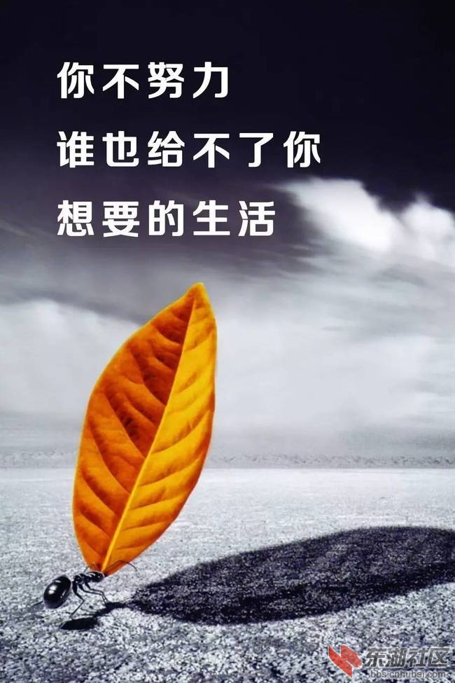 downloadfile-1636888356125.jpeg
