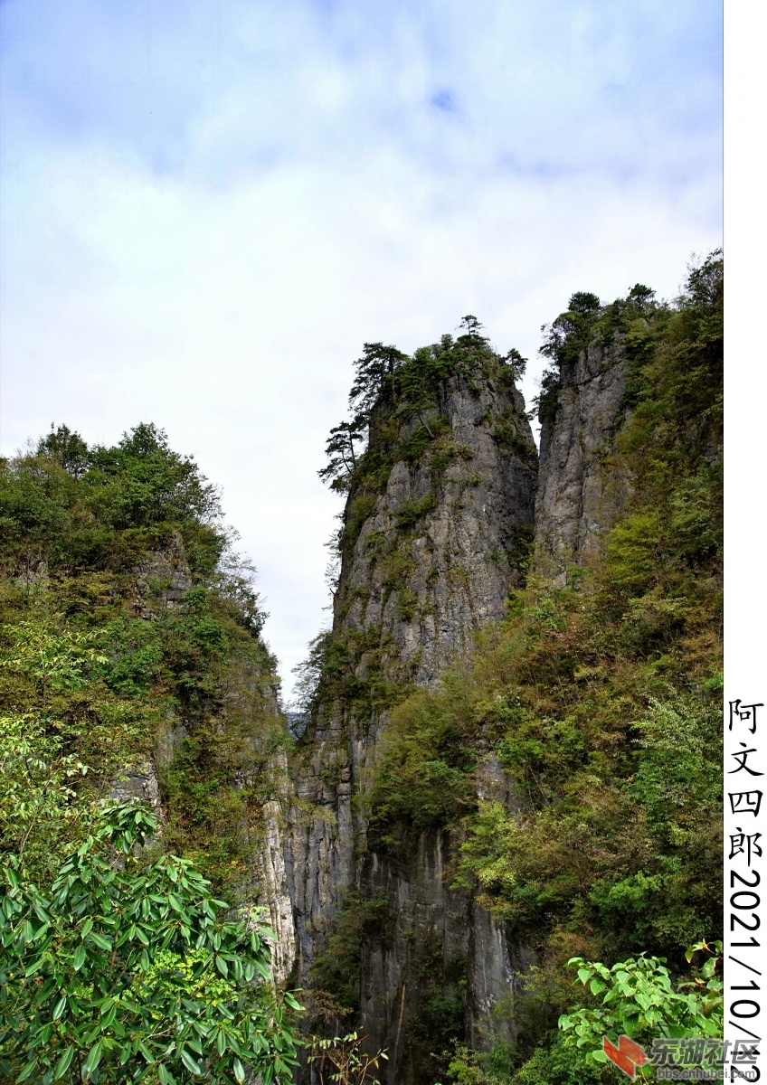 DSC00153.jpg