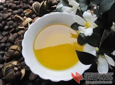 茶油富含维生素E.jpg