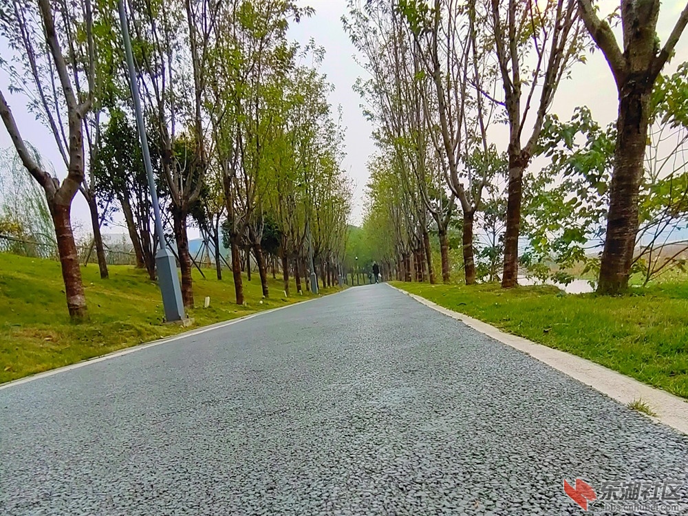 IMG_20211117_094648_副本.jpg