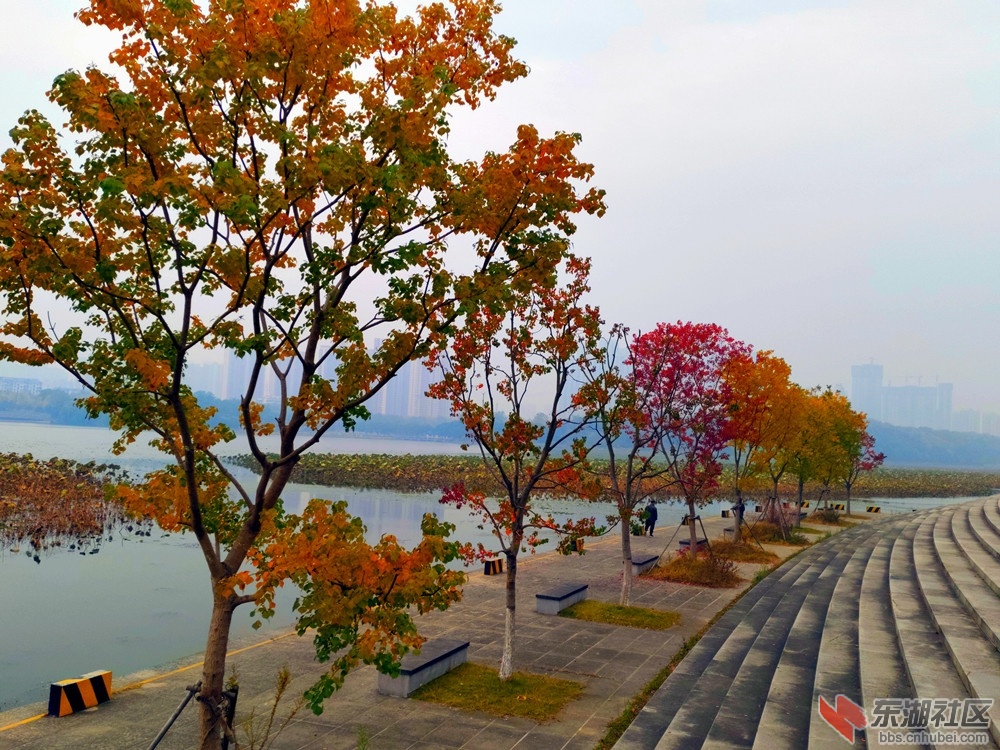 IMG_20211117_100008_副本.jpg