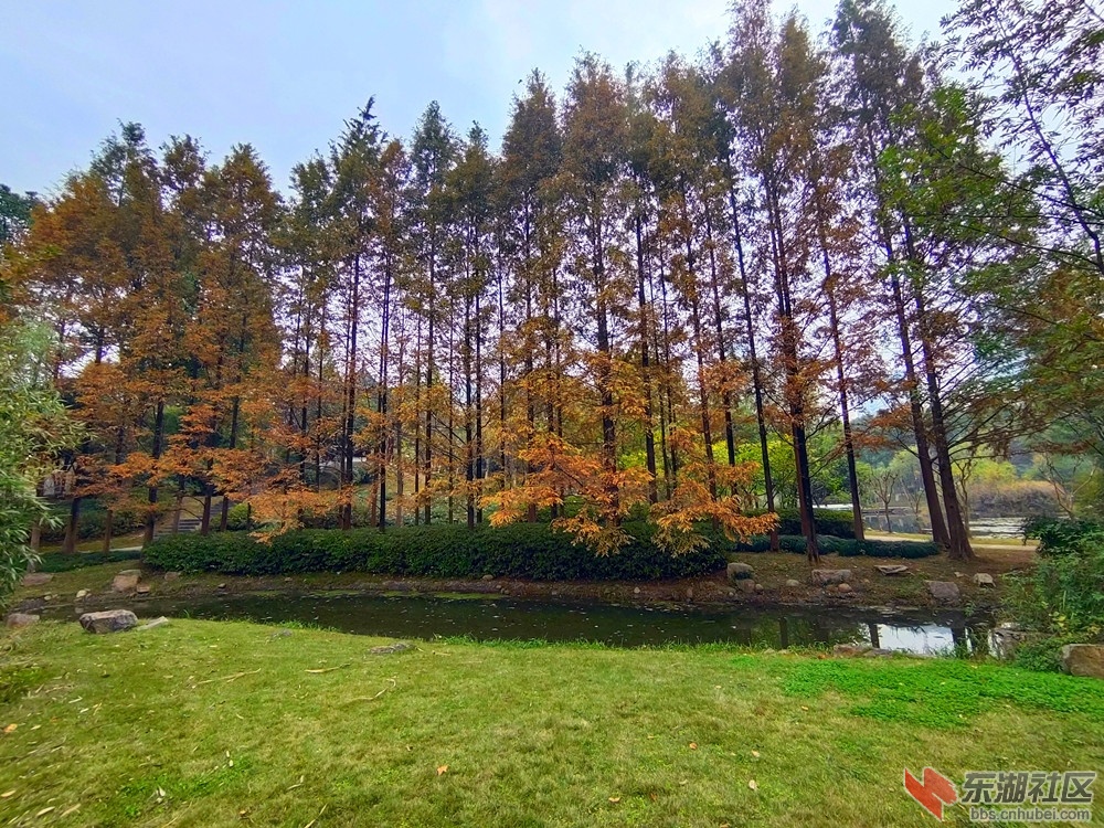 IMG_20211117_102343_副本.jpg