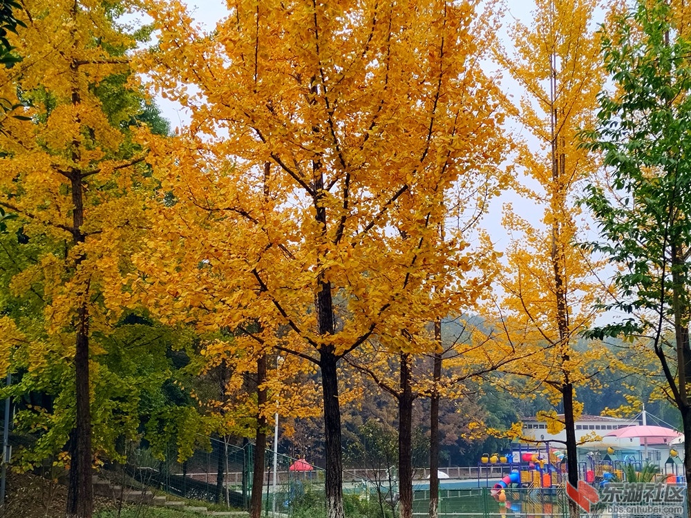 IMG_20211117_104840_副本.jpg