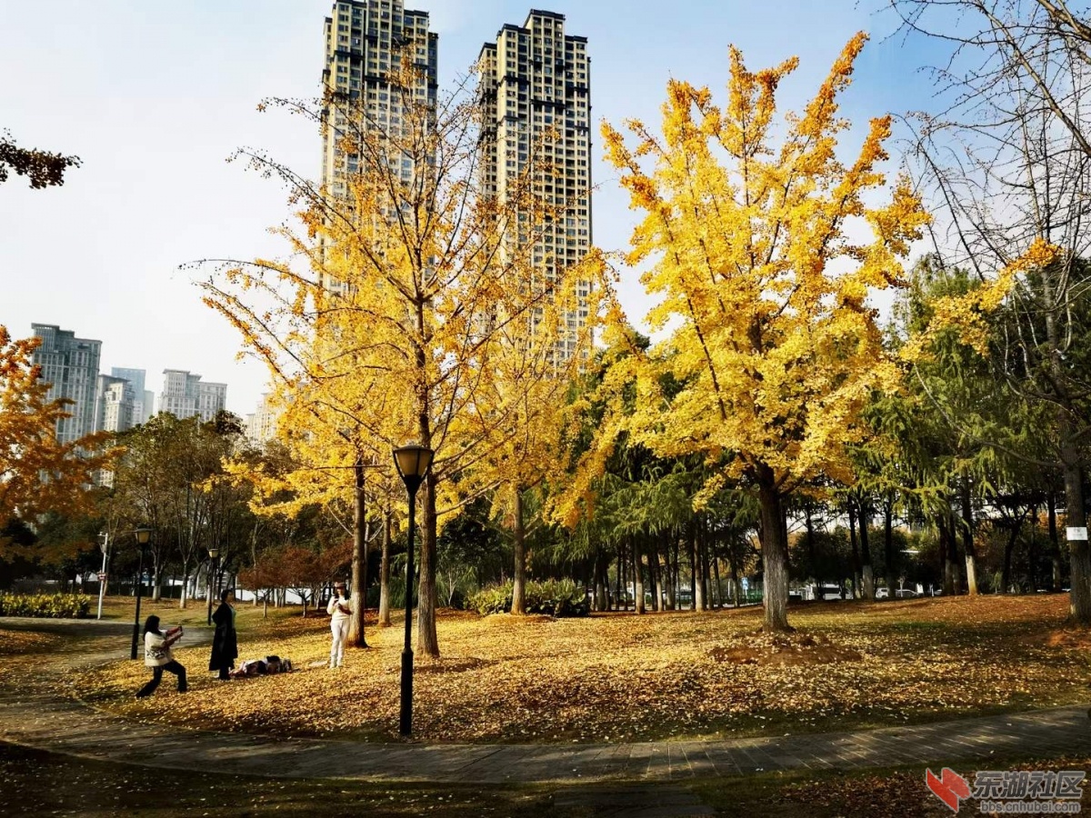 微信图片_20211119213331.jpg