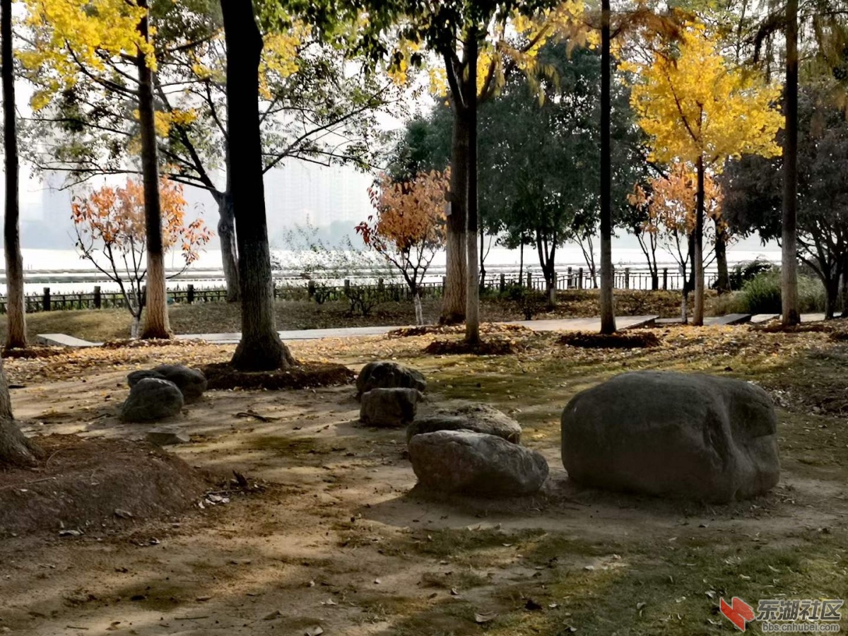 微信图片_20211119213418.jpg