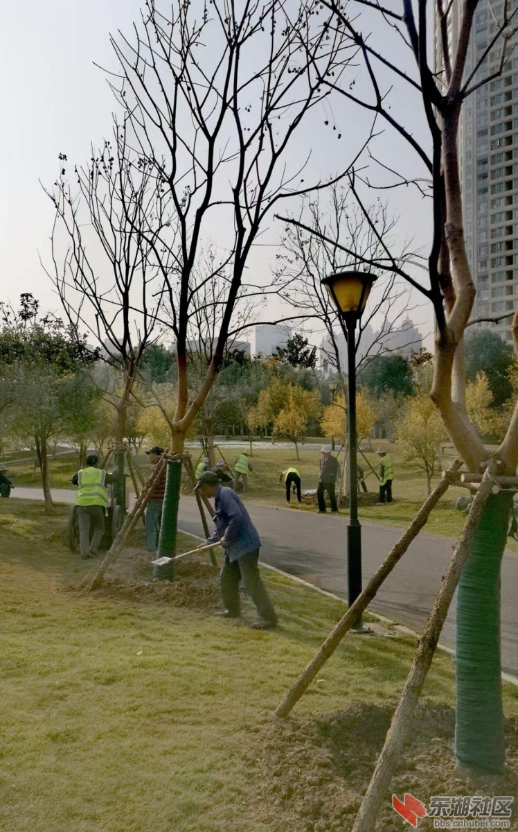 微信图片_20211119213352.jpg