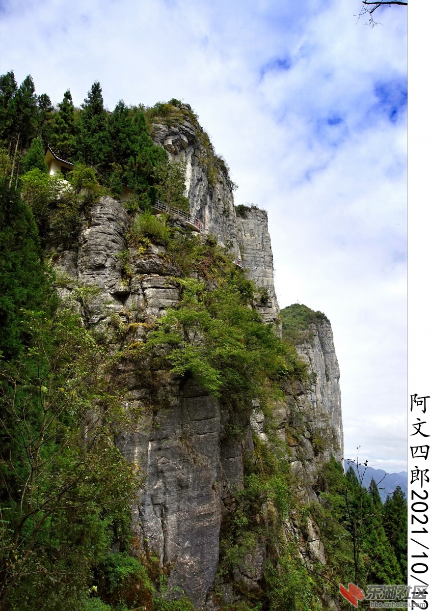 DSC00192.jpg