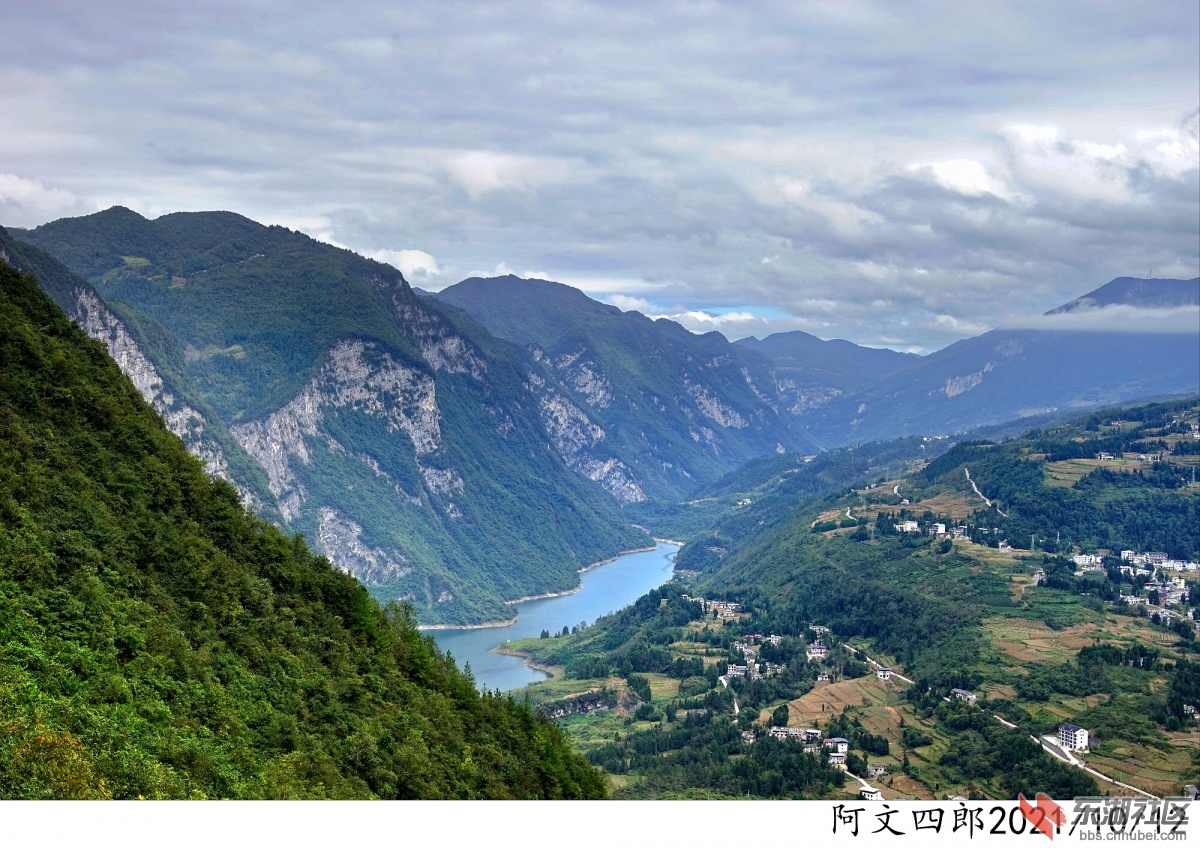 DSC00208.jpg