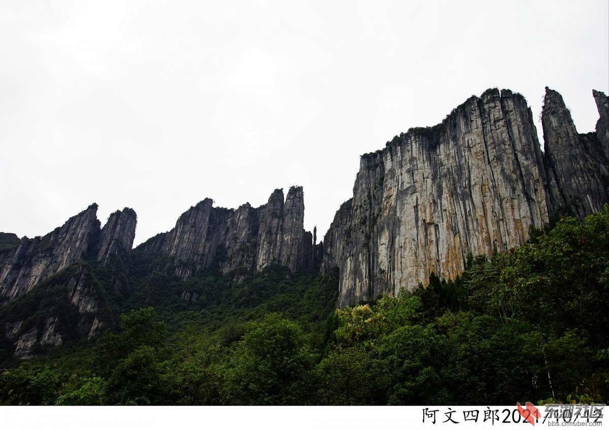 DSC00210.jpg