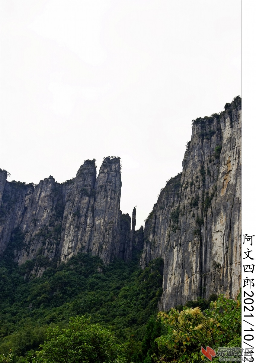 DSC00212.jpg