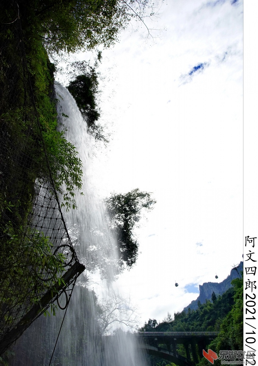 DSC00224.jpg