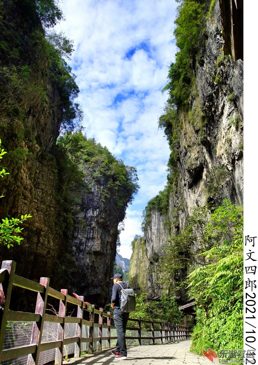 DSC00252.jpg