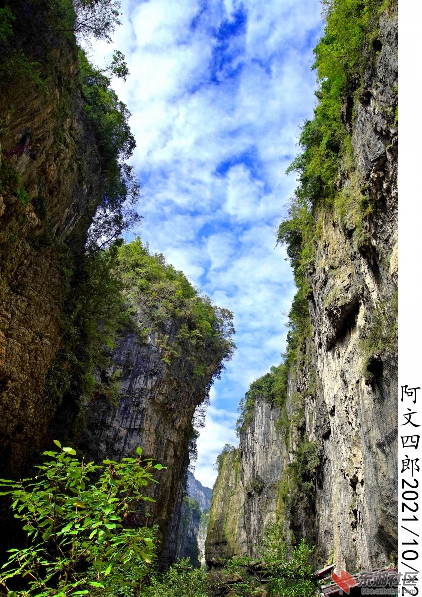 DSC00255.jpg