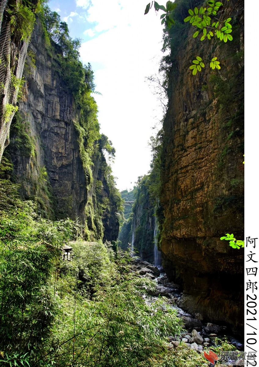 DSC00262.jpg
