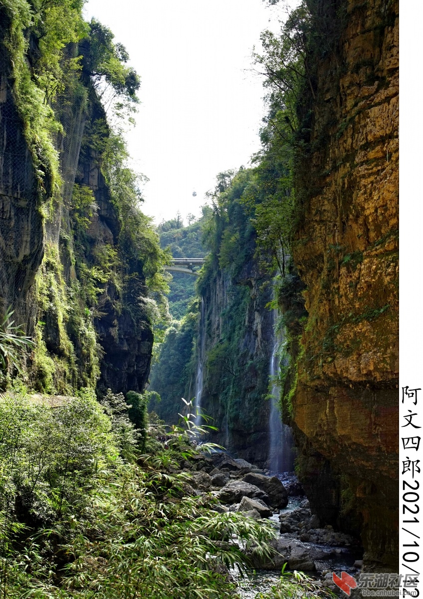 DSC00264.jpg