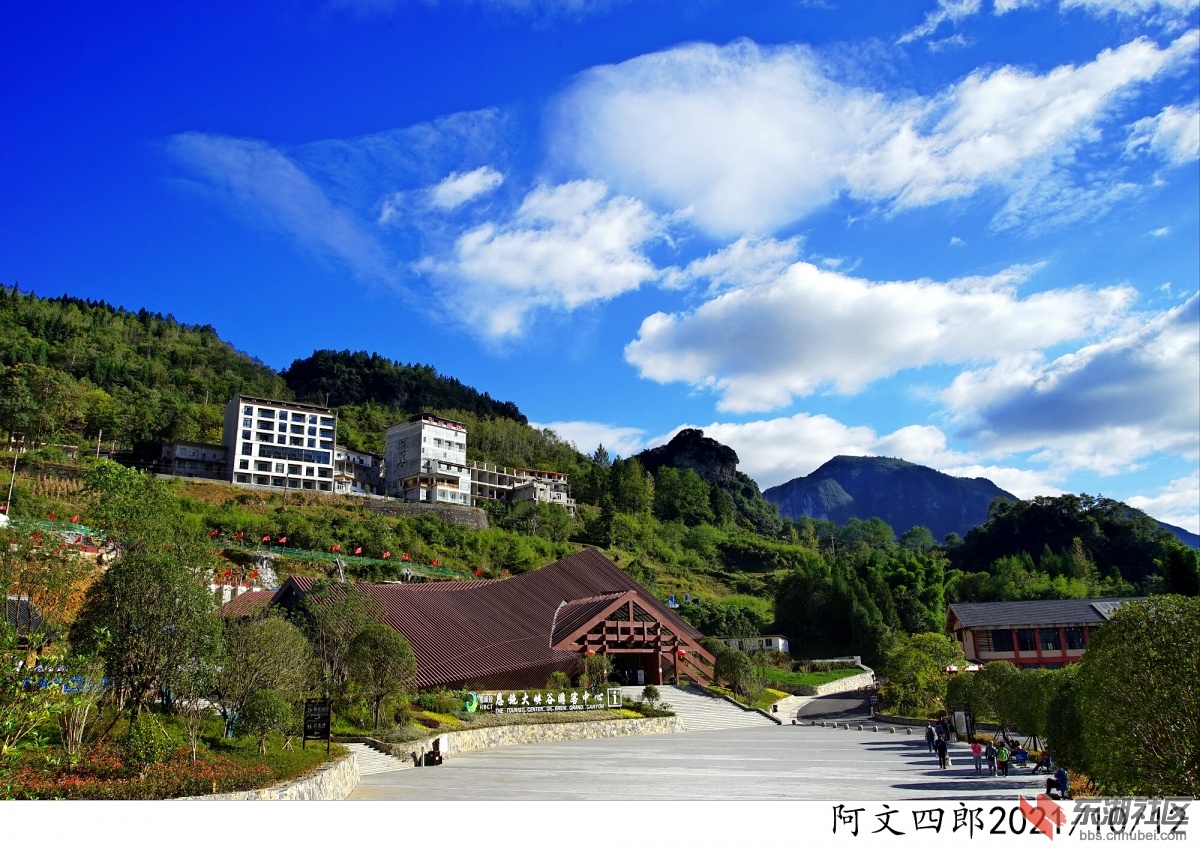 DSC00304.jpg