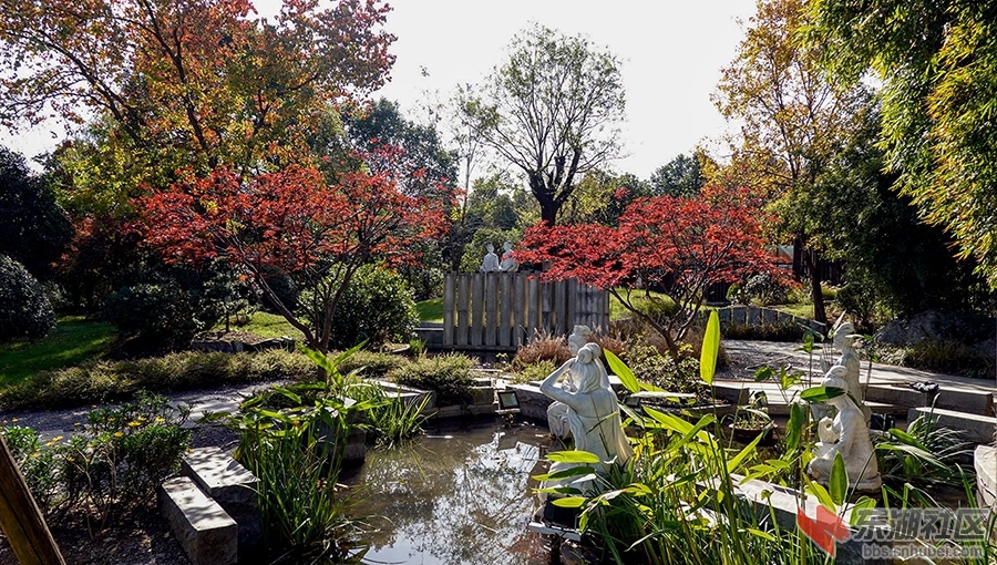 10    DSC04936_副本.jpg
