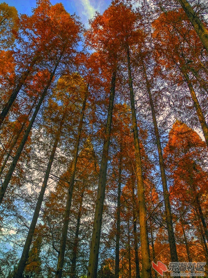 1     DSCN0799_副本.jpg