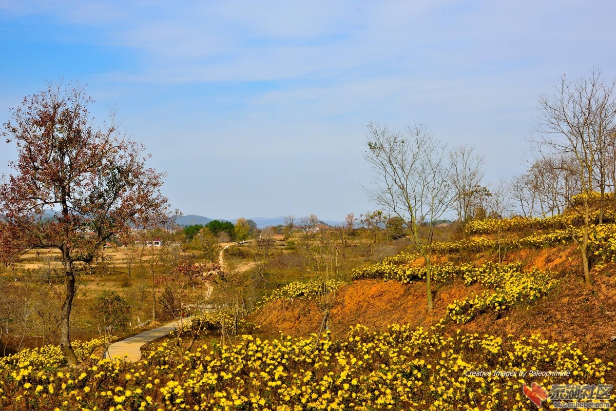 _DSC5066.jpg
