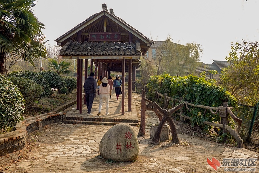 15     DSC05291_副本.jpg