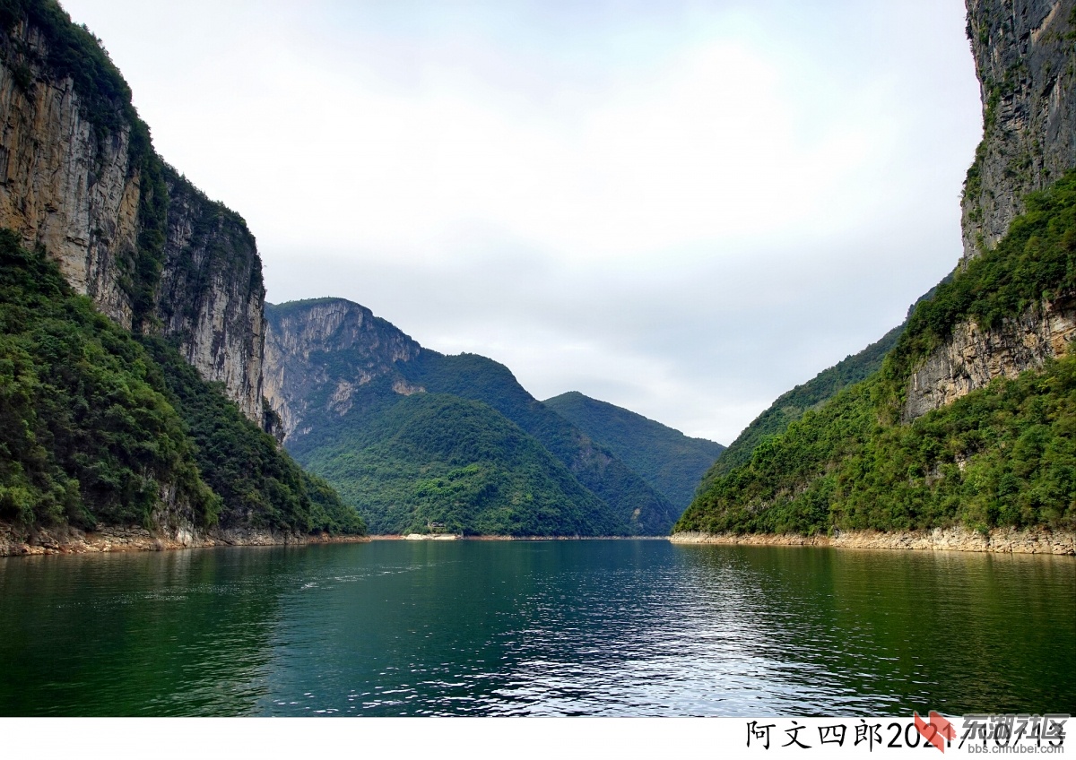 DSC00110.jpg