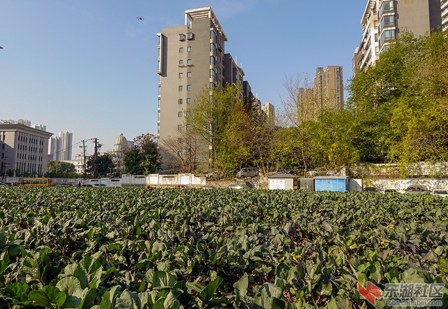 3    DSC05342_副本.jpg