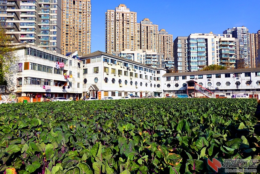 2    DSC05344_副本.jpg