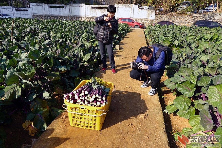 13   DSC05346_副本.jpg