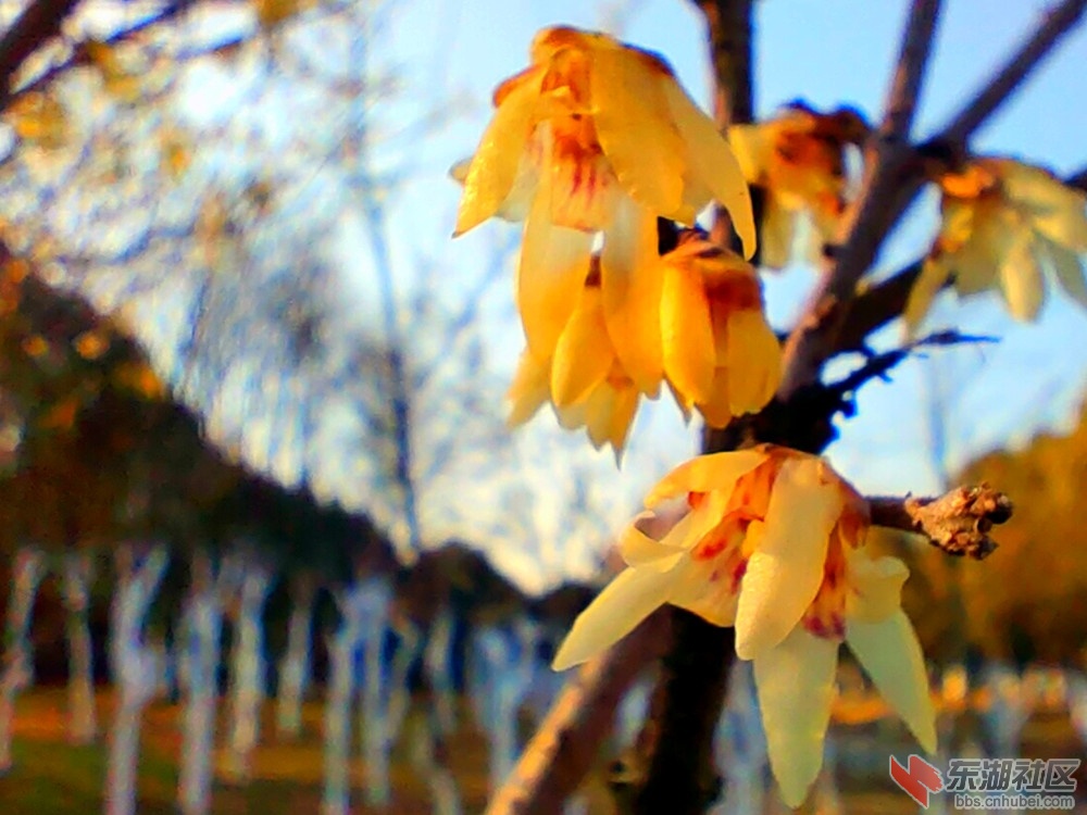 IMG_20211219_143949_副本.jpg