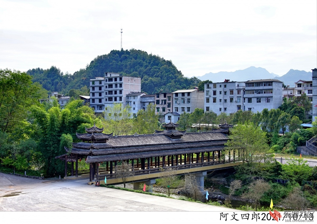 DSC00020.jpg