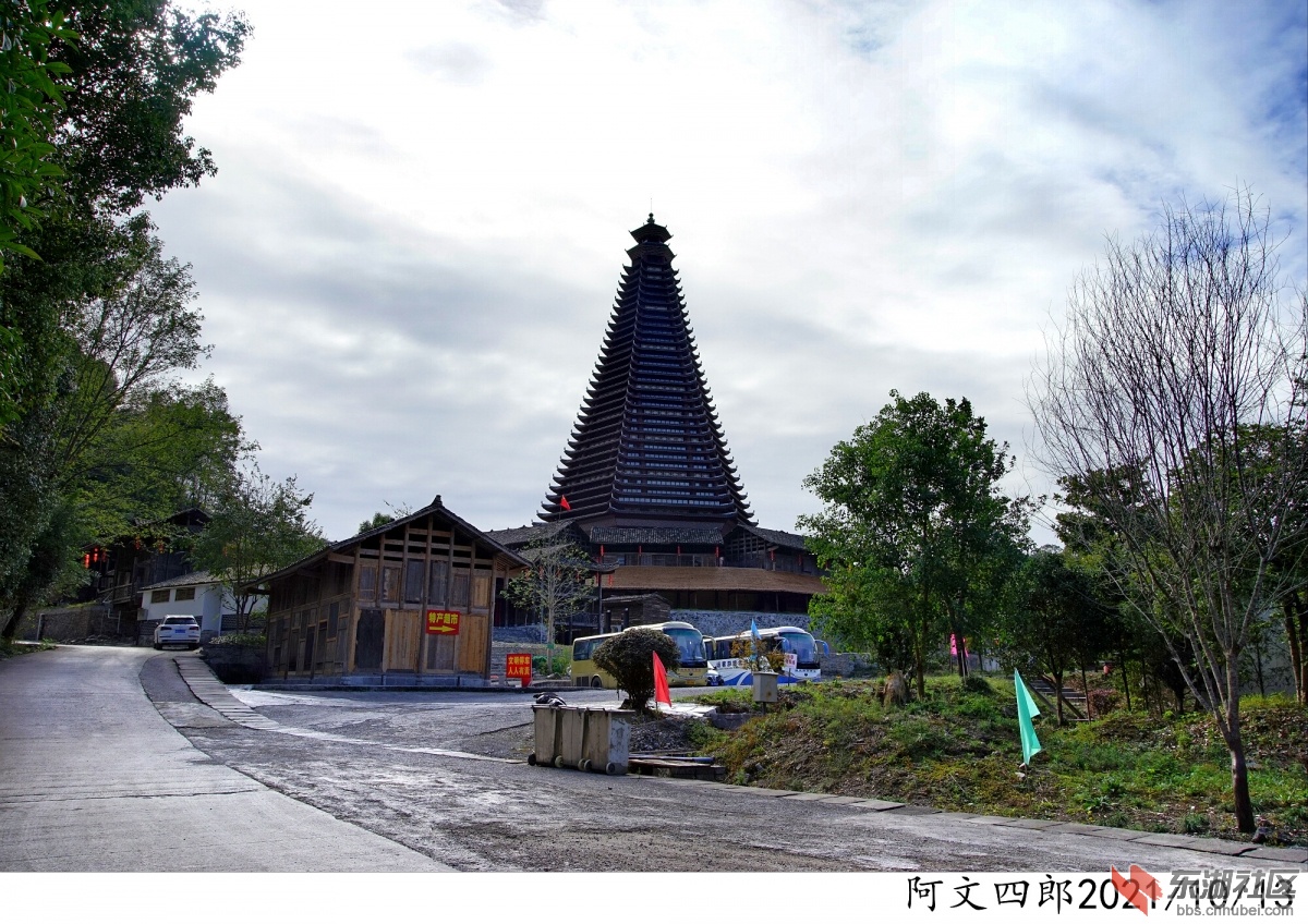DSC00040.jpg