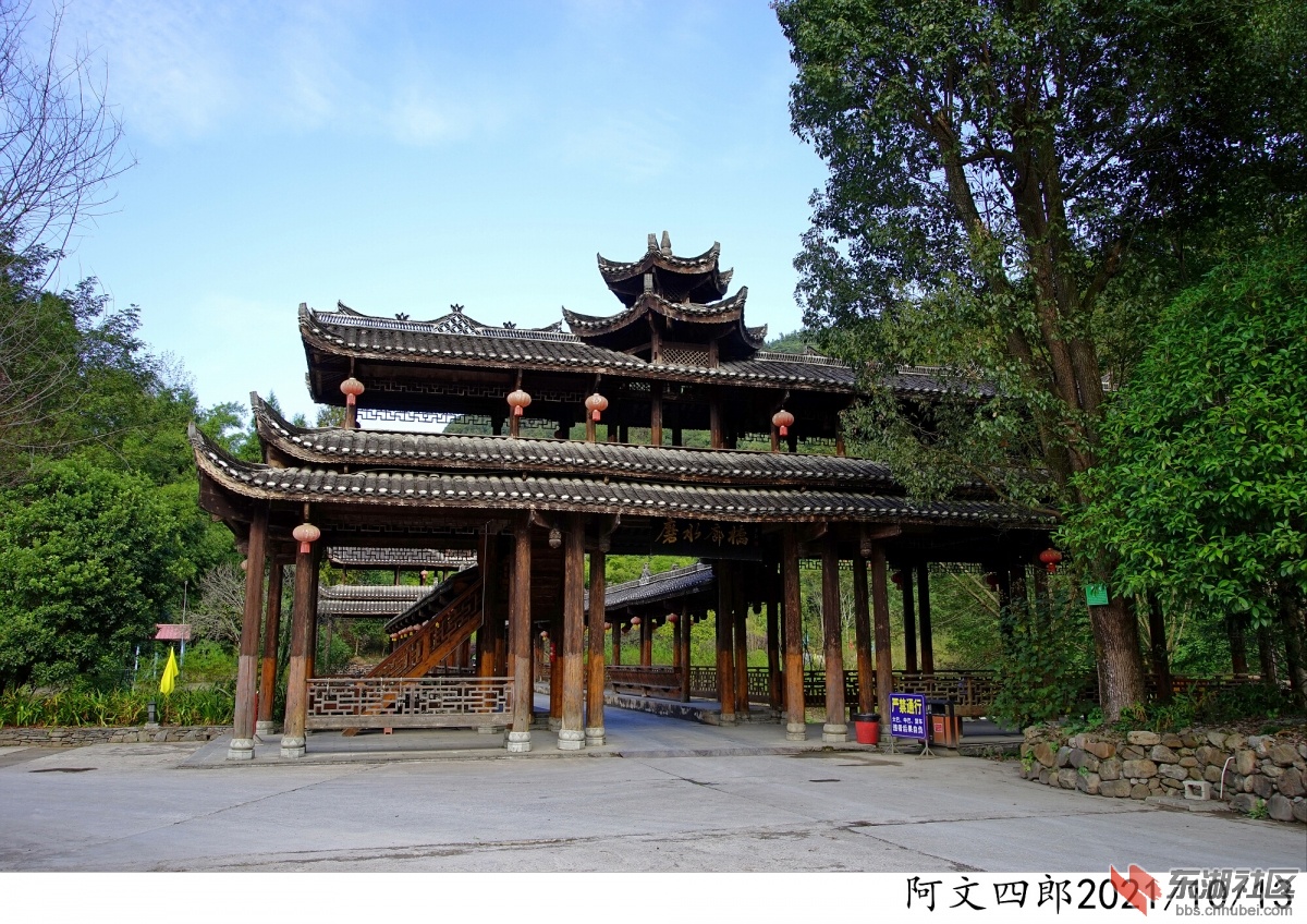 DSC00032.jpg