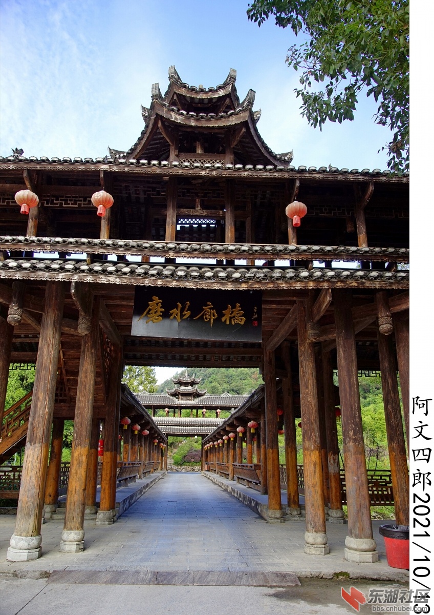 DSC00034.jpg