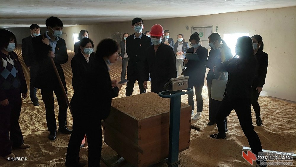 黄冈市农发行在浠水进行库存粮食检查.jpg