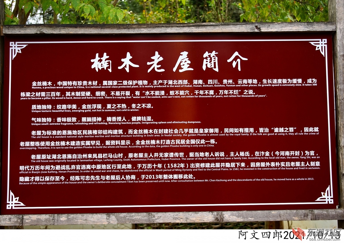 DSC00148.jpg