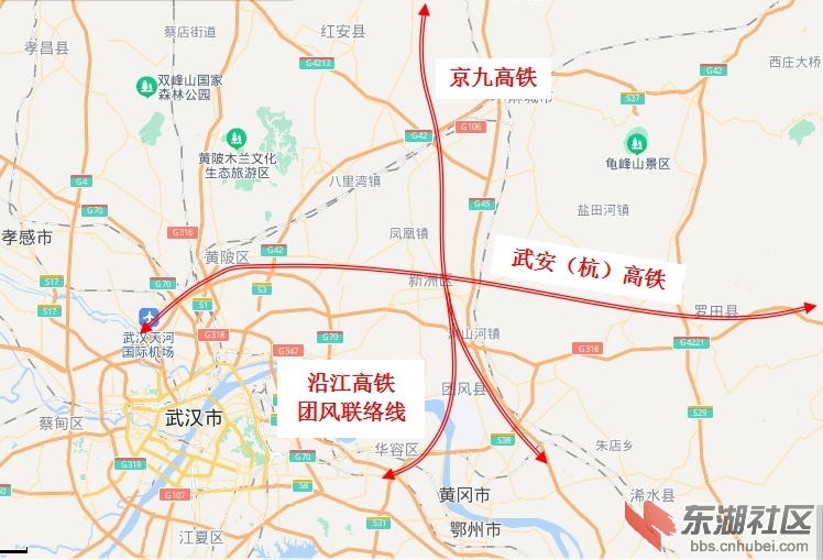 新洲高铁.jpg