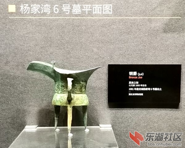 IMG_20220101_135417_副本.jpg