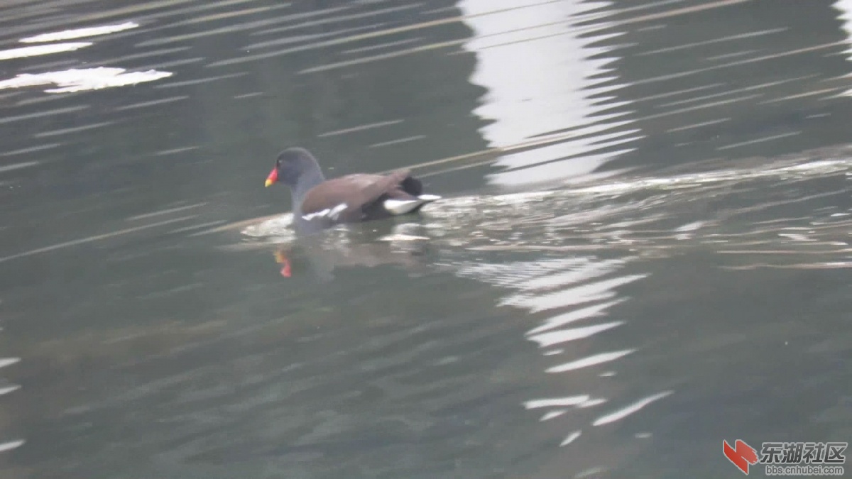 snapshot20220104101029.jpg